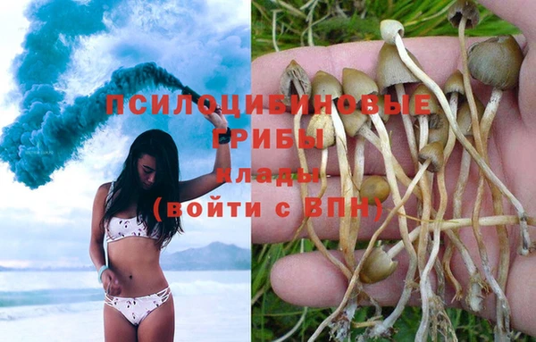 спиды Алексин