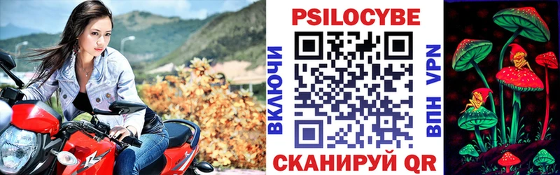 сколько стоит  Арсеньев  Галлюциногенные грибы Cubensis 